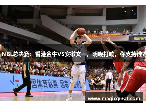 NBL总决赛：香港金牛VS安徽文一，明晚打响，你支持谁？